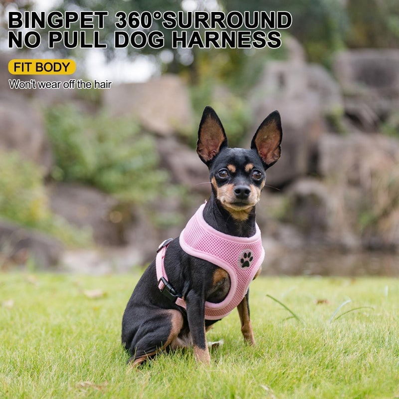 BINGPET Small Dog Harness - Breathable Mesh Puppy Cat Harnesses - No Pull Adjustable Dog Harness Dog Vest Harness for Small and Medium Dogs - Image 2